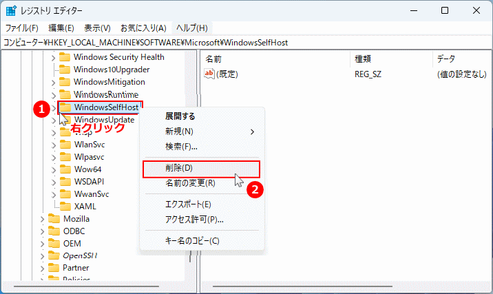 Windows11 レジストリ Microsoft キー内の Insider Preview を停止するため WindowsSelfHost を削除